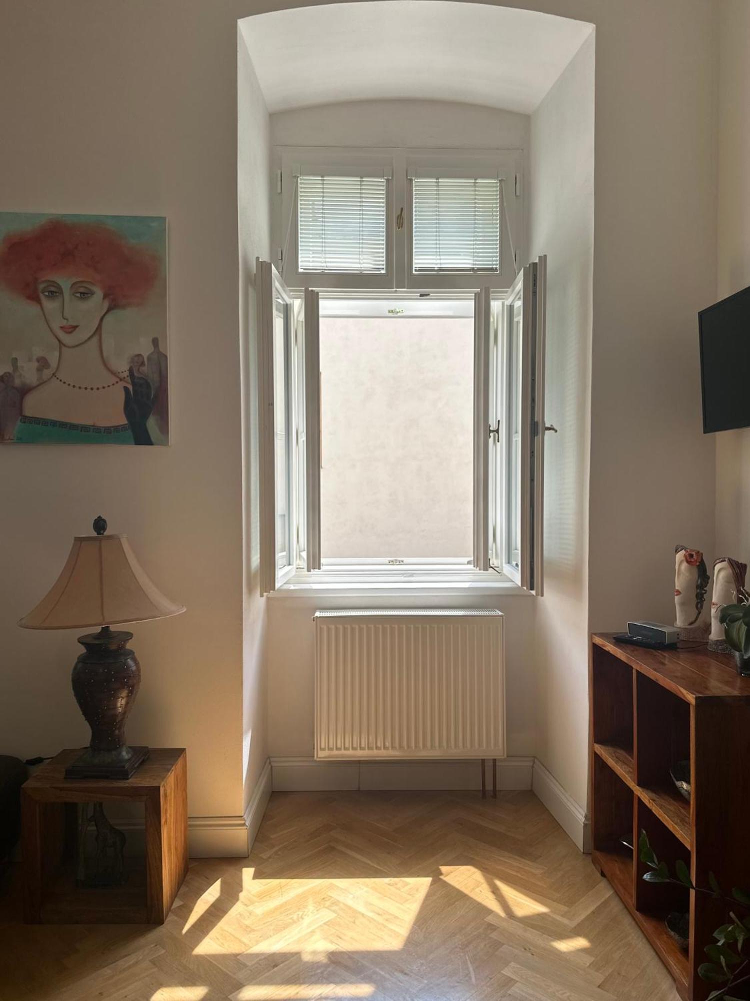 Luxury Apartment Novobranska Brno Exteriör bild