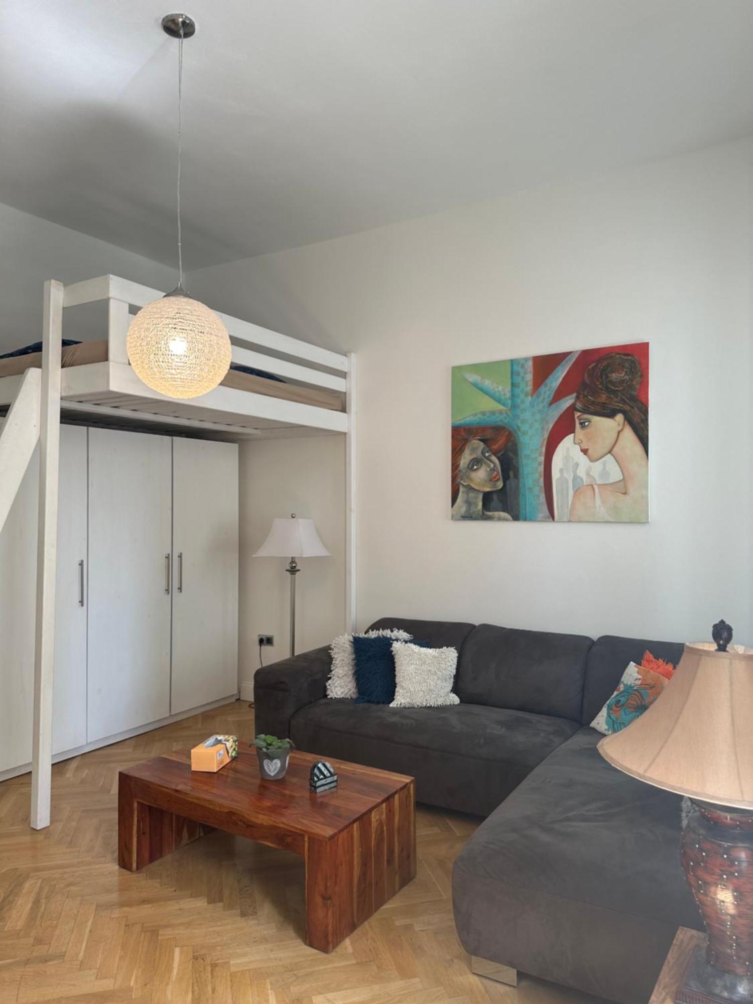 Luxury Apartment Novobranska Brno Exteriör bild